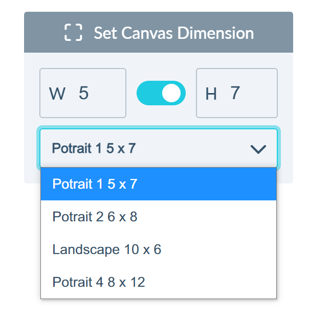 Canvas adjuster module